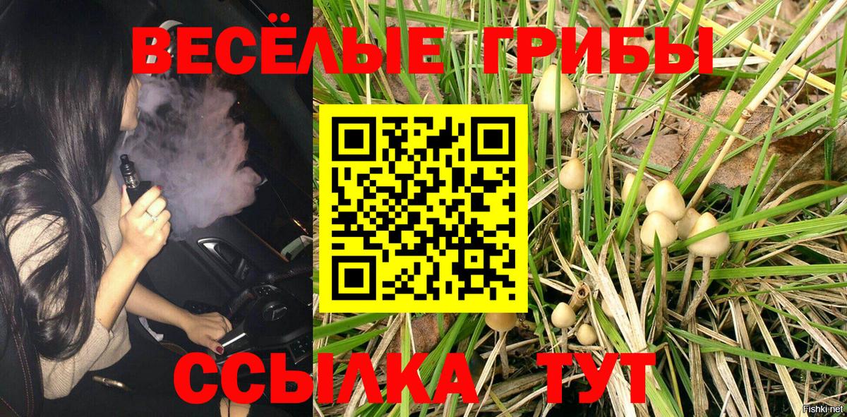 Галлюциногенные грибы Magic Shrooms  Вход с VPN  как найти закладки  Владивосток 
