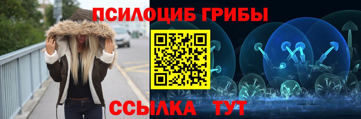 Псилоцибиновые грибы прущие грибы Владивосток